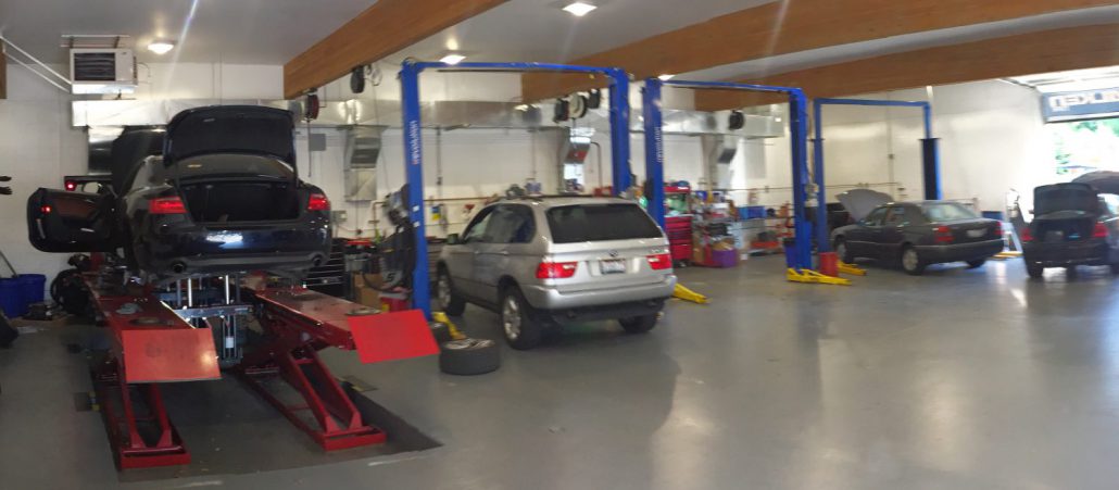 shop